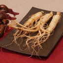 高麗人参 生 4年根 150g 韓国直輸入 【ラッキーシール対応】