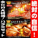 やわらか貴重ハラミセット！（牛ハラミ150g×2、豚ハラミ150g×3)