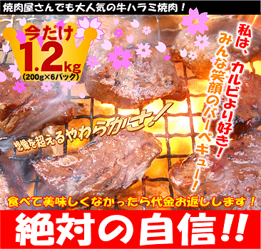 【今だけ1.2kg☆送料無料】やわらか貴重牛ハラミ1.2kg（200g×6パック)セット☆2セット以上で500ポイントのオマケ付き！