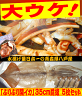 【青森県八戸港水揚げ】激うまのプリプリ「開きイカ」冷凍 5枚入り！（スルメイカの開き）バーベキューでも大活躍！ただ焼くだけで感激の味！