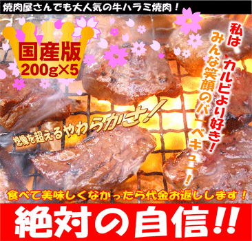 【送料無料】【5パックセット】味付け国産牛はらみ200g×5パック！合計タップリ1kg！