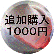 追加購入1000円