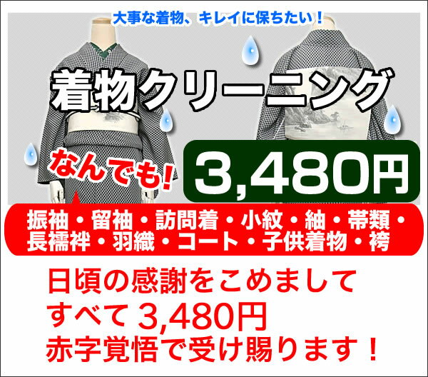 着物 クリーニング きもの 訪問着 丸洗い 保存 シミ抜き プレス加工 振袖 洗濯 正絹 …...:kimono-kyoukomati:10053858