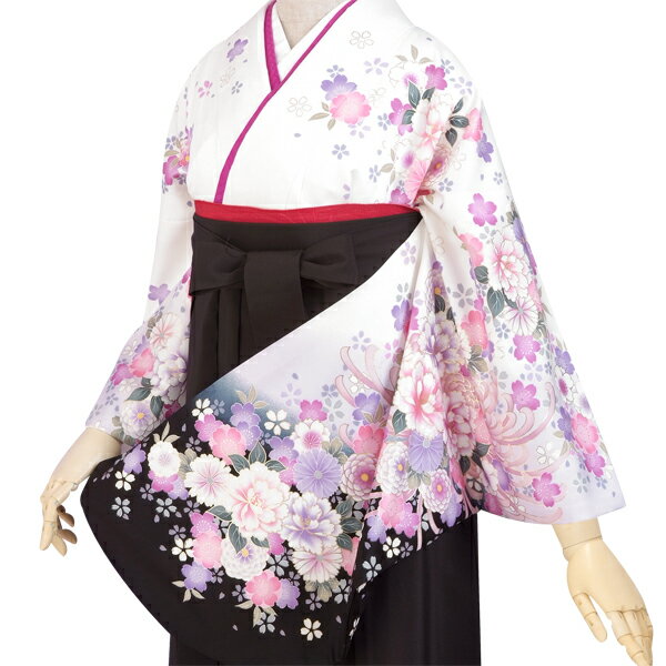 µȸӰ켰´ȼ˾µ+ӥ󥿥ե륻åȡG243ܤصƤȲðȺܡLĹ[´ȼ]