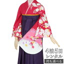 マラソン中P5倍! 【レンタル】レンタル 袴 セット 卒業式 女 レディース 卒業式袴セット二尺袖着物&袴フルセットレンタル〔G514〕「赤 しだれ桜と蝶々」卒業式 袴レンタル ハカマ 着物 フルセット 二尺袖 女 袴 袴セット
