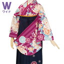 【レンタル】卒業式 袴 レンタル 女 袴セット レディース 卒業式袴セット 二尺袖&袴〔G689〕大きいサイズ ワイドサイズ 「赤紫 ストライプ牡丹と菊(W)(...