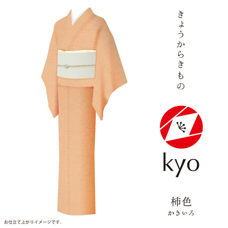 色無地 着物 kyo 【お取寄せ】【 フルオーダー お仕立て付 】【 送料無料 】【 SA…...:kimono:10047652