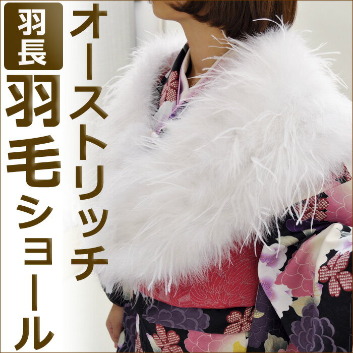 〔羽長タイプ〕【成人式 パーティーにおすすめ】オーストリッチ羽毛ショール8025成人式 振袖 パーティー リアルファー ファーショール【smtb-m】【1223_point】【今だけ】通常価格12800円⇒8400円