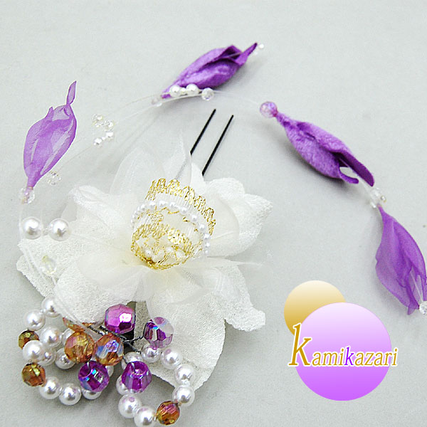 ڤбۥեȱʥԥ󥿥ס***c231