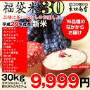 【福袋30】玄米のま...
