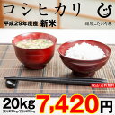 コシヒカリ 20kg 送料無料 新米 29年 玄米20kgま...