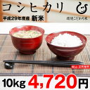 コシヒカリ 10kg 送料無料【平成29...