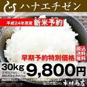 ハナエチゼン　玄米　30kgもしくは精米済み白米27kg　