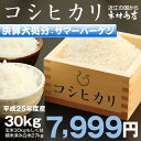 【決算大処分：サマーバーゲン】コシヒカリ　環境こだわり米 玄米　30kgもしくは精米済み白米27kg【平成25年・滋賀県産】