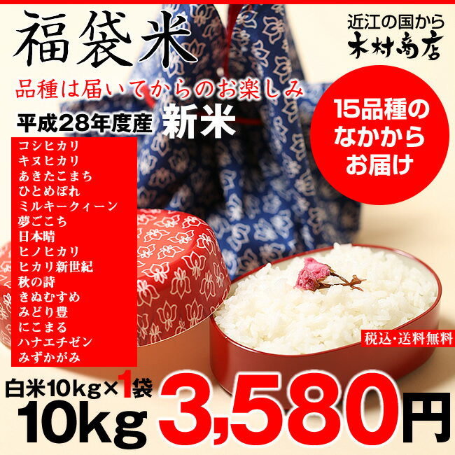 【福袋米】　白米　10kg【平成28年・滋賀県産】10kg×1袋でのお届けです♪】【送料無料】