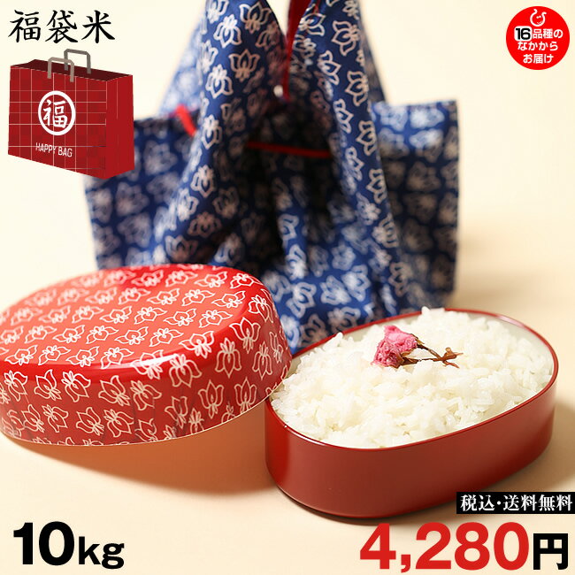 【福袋米】　白米　10kg 【令和元年：滋賀県産】【送料無料】 10kg×1袋でのお届けです♪