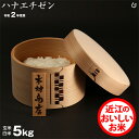 【新米】ハナエチゼン 5kg【令和2年:滋賀県産】【送料無料】