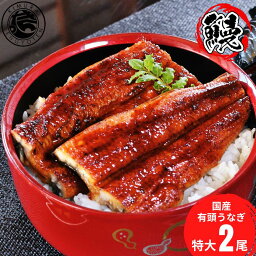 国産 うなぎ 蒲焼き <strong>2尾セット</strong> 特大サイズ 190g 前後 鰻 ウナギ うなぎの蒲焼 蒲焼 鹿児島県産 鰻の蒲焼 美味しい <strong>うなぎ蒲焼</strong> 贈り物 母の日 父の日 敬老の日 土用丑の日 お中元 お歳暮 ギフト プレゼント［送料無料］