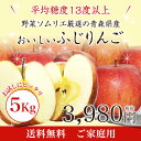 【送料無料】野菜ソムリエ厳選の青森県産のおいしいふじりんご 5kg【ご家庭用】※北海道及び離島への発送は送料別途1000円