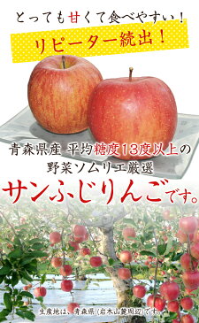 【送料無料】野菜ソムリエ厳選の青森県産おいしいサンふじりんご 10kg【贈答用】※北海道・沖縄及び離島への発送は送料別途1000円