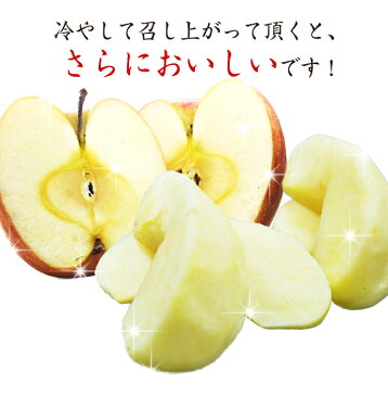 【送料無料】野菜ソムリエ厳選の青森県産おいしいサンふじりんご 10kg【贈答用】※北海道・沖縄及び離島への発送は送料別途1000円