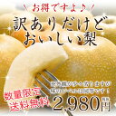 【送料無料】【数量限定】【訳あり】 長野県産 梨 約5kg ...