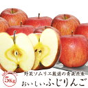 【送料無料】野菜ソムリエ厳選の青森県産のおいしいふじりんご 5kg【ご家庭用】※北海
