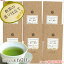 産地賞受賞 茶和家 自家製 掛川一番茶 600g （476円/100g） 送料無料 深蒸し茶