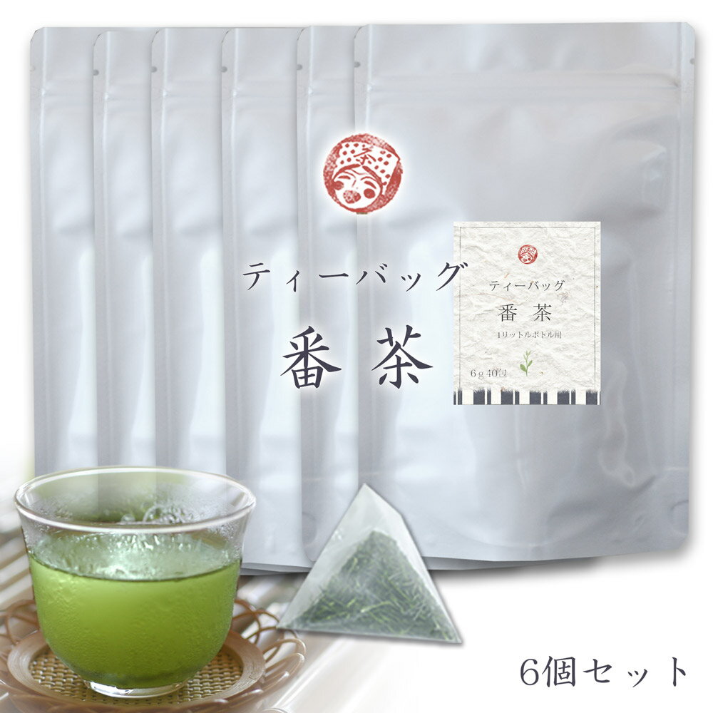 【あさイチで紹介 長生きの秘訣掛川茶】【掛川茶】カテキンたっぷり水出し番茶ティーバック6g（1リットル分）×40個入×6袋セット まとめ買いがお得！送料込最終価格2990円 お茶農家木村園