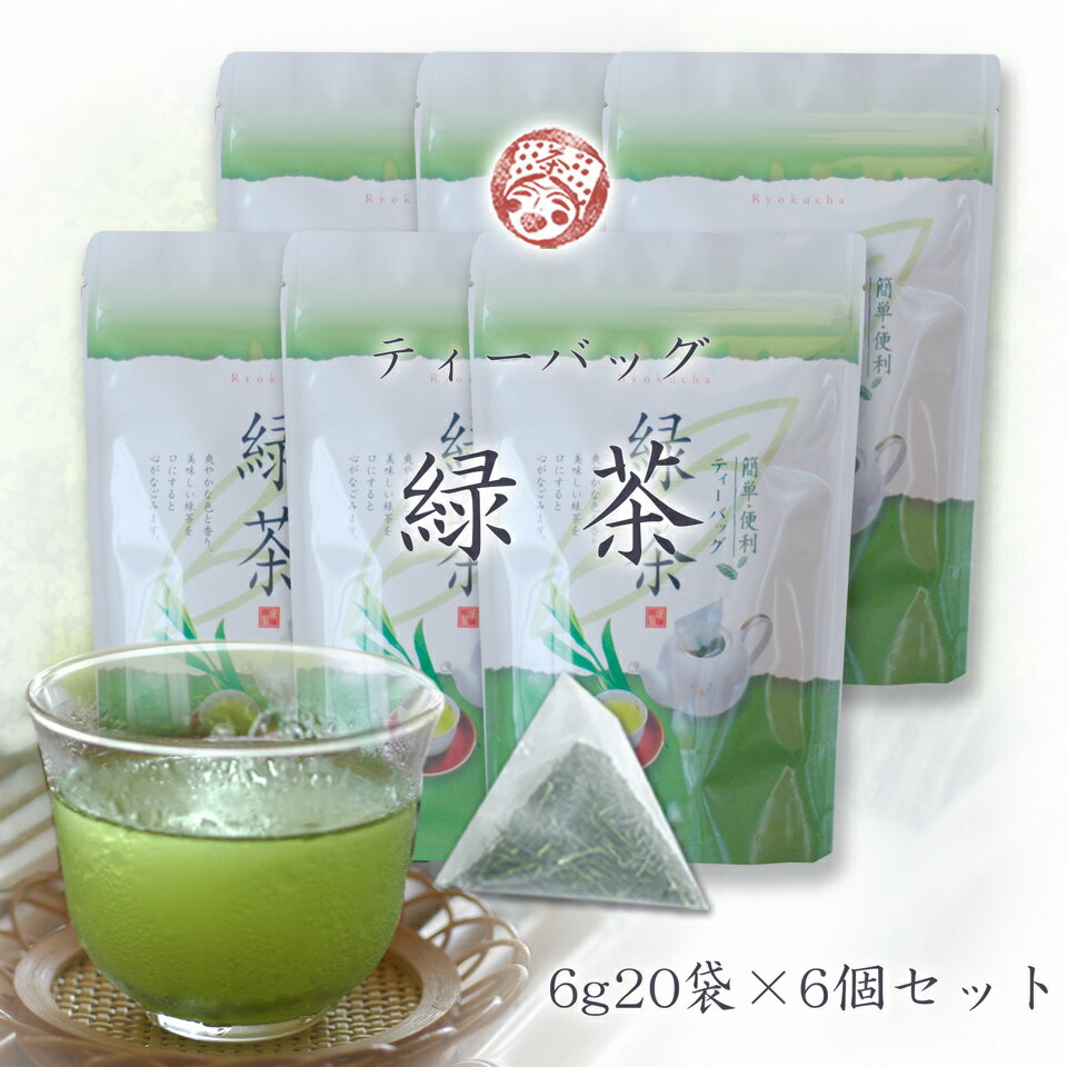 【あさイチで紹介 長生きの秘訣掛川茶】水出し緑茶ティーパック6g（1リットル分）×20個入チャック付きスタンド袋×6袋セット　まとめ買いがお得！（送料込最終価格2980円）お茶農家木村園