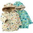 【送料無料】【50%OFF SALE アウトレットセール】Piccolo (ピッコロ ) ブルゾン (80~95cm) 男の子 80cm 90cm 95cm キムラタン 子供服