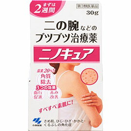 【第3類医薬品】小林製薬　ニノキュア　30g 二の腕などのブツブツ治療薬