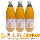 愛媛清見ジュース3本 (1000mlx3)