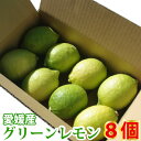 10月中旬発送開始 愛媛県産グリーンレモン8個【佐川急便限定】同梱不可!【沖縄へは配送できません】【送料無料(北海道+500円)】