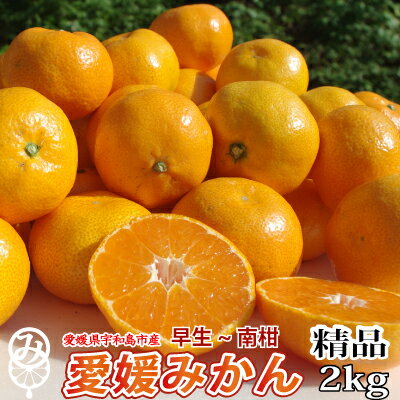 御予約【送料無料】愛媛みかん　みかん家族2kg