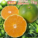 【入荷次第発送】贈答愛媛みかん7kg/サイズ揃え(MまたはL)【送料無料 北海道沖縄を除く】愛媛県産