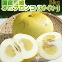 【家庭用】甘いグレープフルーツ 愛媛産オロブロンコ5kg 家庭用(別名オロブランコ、スィーティー)【送料無料(北海道沖縄県送料別途)】
