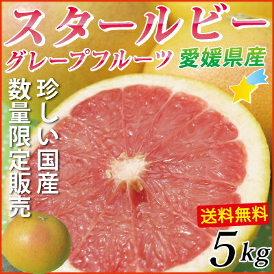 【送料無料】愛媛産スタールビー5kg（グレープフルーツ）（北海道沖縄県送料500円）赤い果…...:kinahaiya:10000624