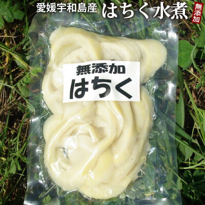 【2012年度新物】無添加・国産たけのこ水煮『ハチク』(冷蔵）出来ました！【2sp_120706_a】【RCPmara1207】