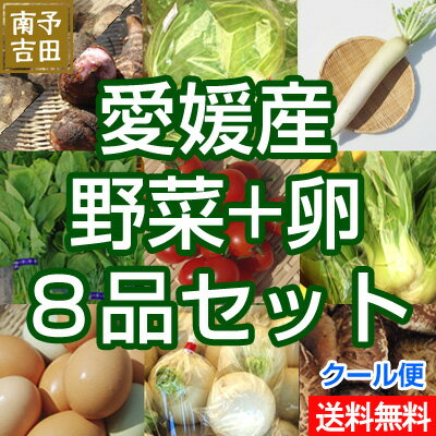 【送料無料】愛媛産EM卵と野菜セット　おまかせ8品