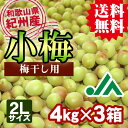 【送料無料】<梅干し用>紀州産小梅(2Lサイズ) 4kg×3...