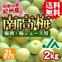 【送料無料】<梅酒用・梅ジュース用>紀州産南高梅(2Lサイズ...