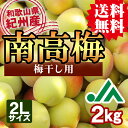 【送料無料】<梅干し用>紀州産南高梅(2Lサイズ) 2kg ...