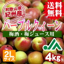 【送料無料】<梅酒用・梅ジュース用>パープルクィーン(2Lサ...