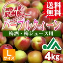 【送料無料】<梅酒用・梅ジュース用>パープルクィーン(Lサイ...