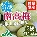 氷梅 冷凍南高梅(梅酒用・梅ジュース用) 1.5kg(500g×3袋) ☆和歌山県紀州産青梅 冷凍梅