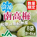 氷梅 冷凍南高梅(梅酒用・梅ジュース用) 4kg(500g×8袋) ☆和歌山県紀州産青梅 冷凍梅