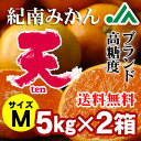 【送料無料】旨味極撰 紀南みかん「天」(Mサイズ) 5kg×2箱(合計10kg)★和歌山県JA紀南のトップブランド高糖度ミカン 光センサー 糖度設定11度 早生みかん