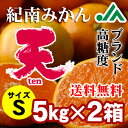 【送料無料】旨味極撰 紀南みかん「天」(Sサイズ) 5kg×2箱(合計10kg)★和歌山県JA紀南のトップブランド高糖度ミカン 光センサー 糖度設定11度 早生みかん