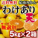 【送料無料】わけあり「天」みかん(サイズ混合) 5kg×2箱(合計10kg) ★和歌山県紀南地方の甘いブランドみかん キズあり 訳あり 無選別 糖度設定11度 早生みかん